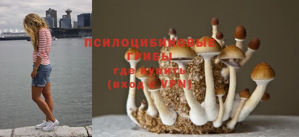 MESCALINE Алзамай