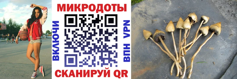 цена наркотик  Дыгулыбгей  Галлюциногенные грибы прущие грибы 